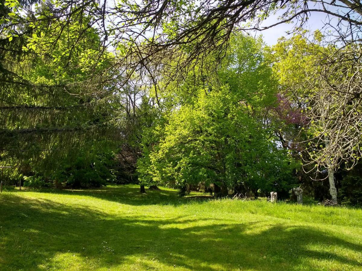 Pyrenees Vue Gite - Vues Fantastique, Parking Gratuit Sur Place & Piscine Saint Gaudens Exterior foto