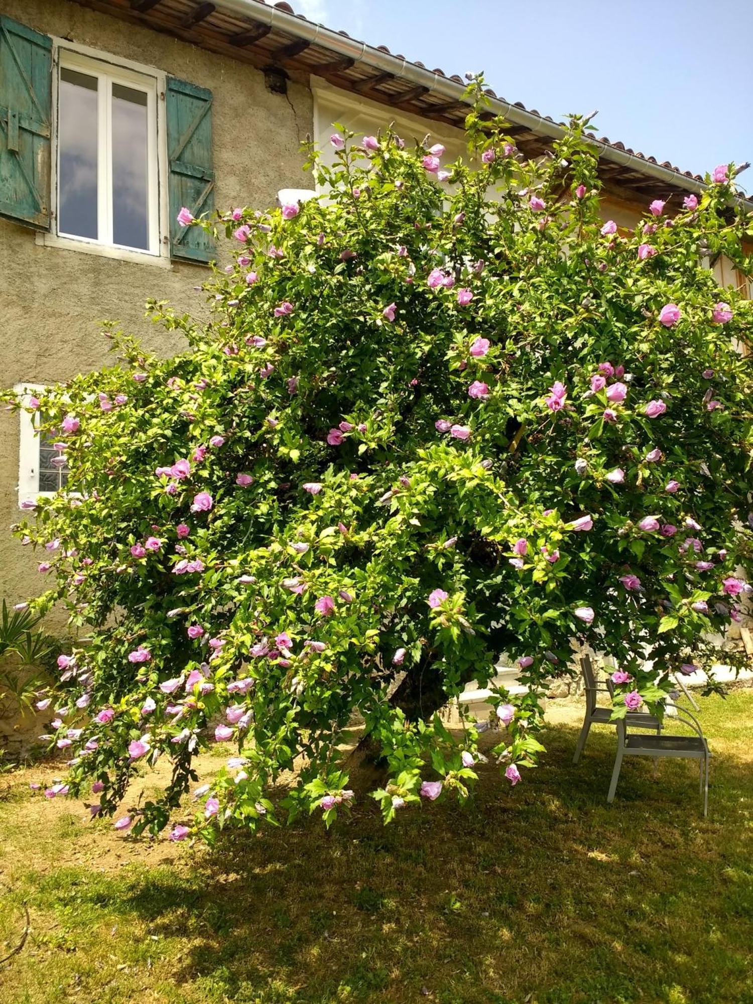 Pyrenees Vue Gite - Vues Fantastique, Parking Gratuit Sur Place & Piscine Saint Gaudens Exterior foto